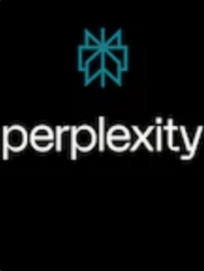 PERPLEXITY 12 MESES